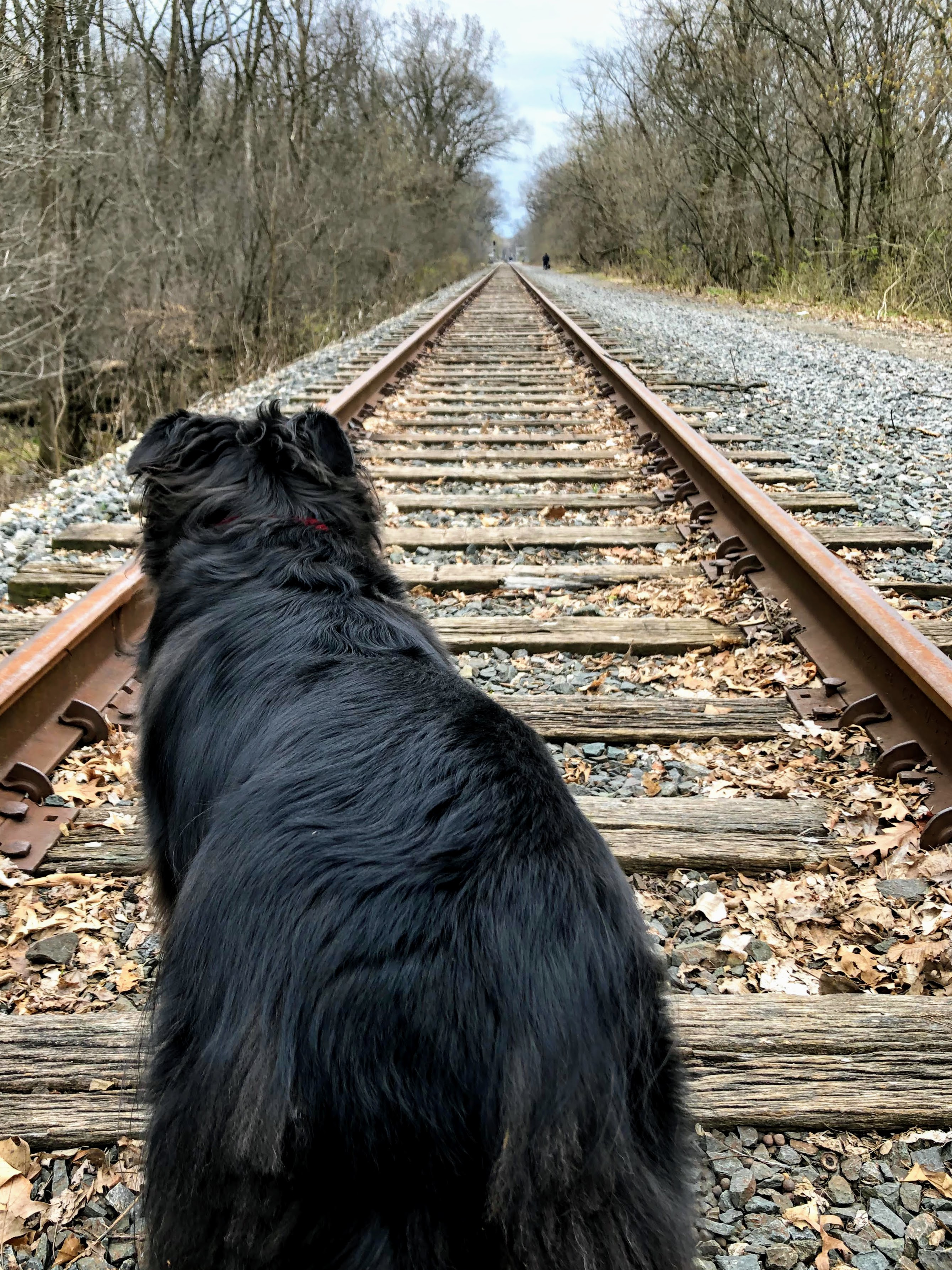 arlee on the tracks