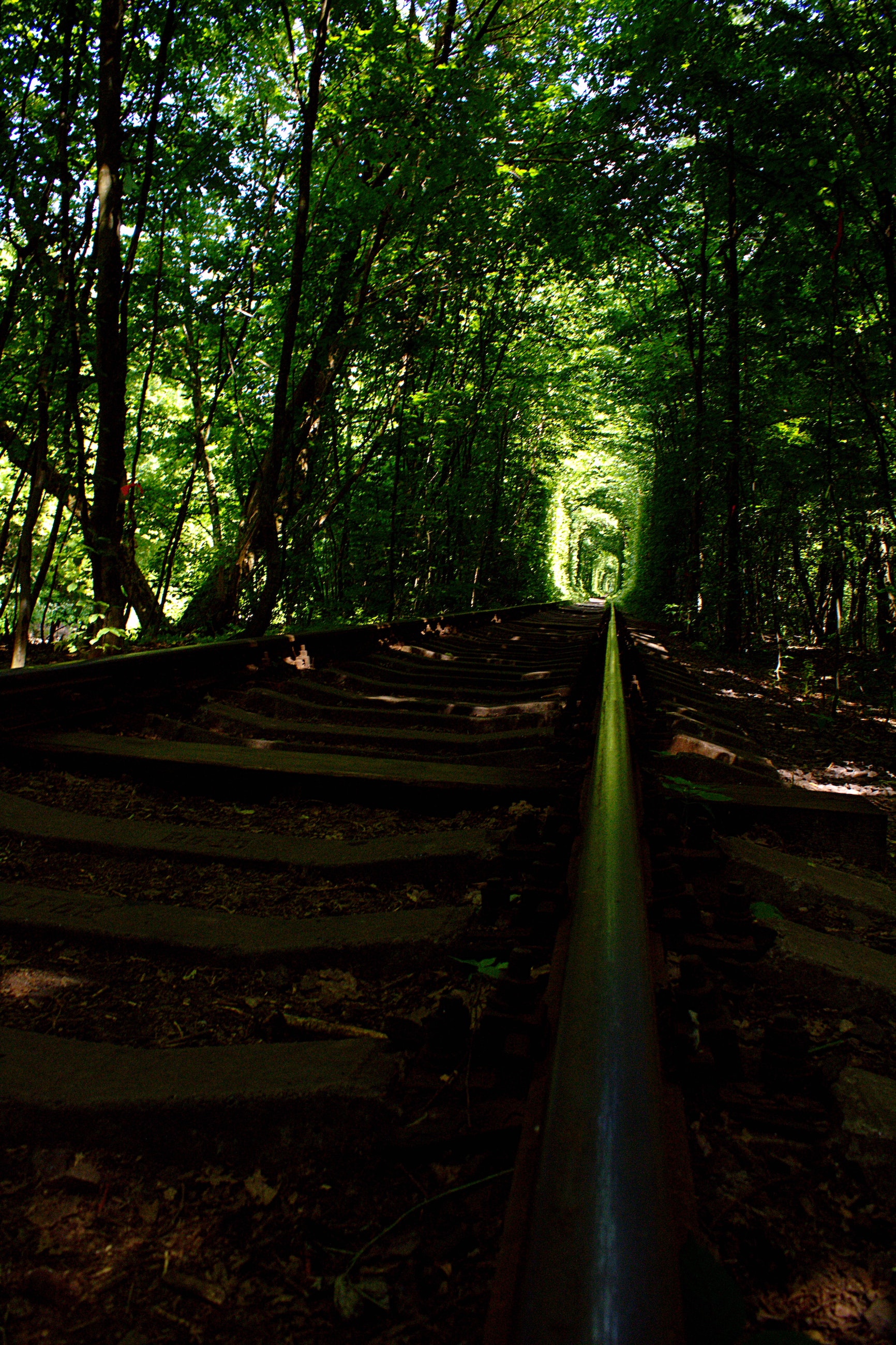 Tunnel of Love, Klevan, Ukraine