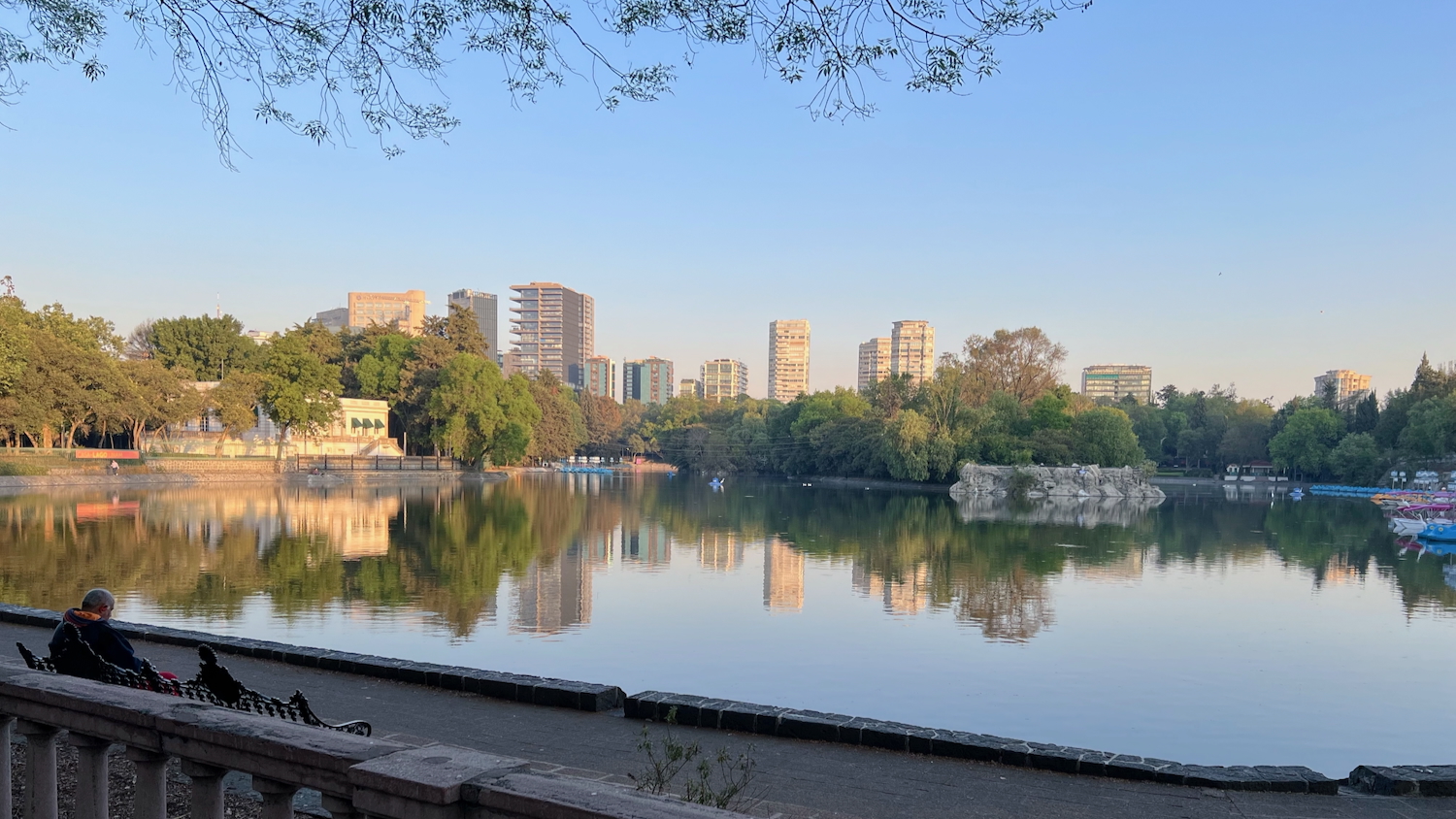 a shoreline view of Lago de Chapultepect, with the hotels of Polanco in the distance