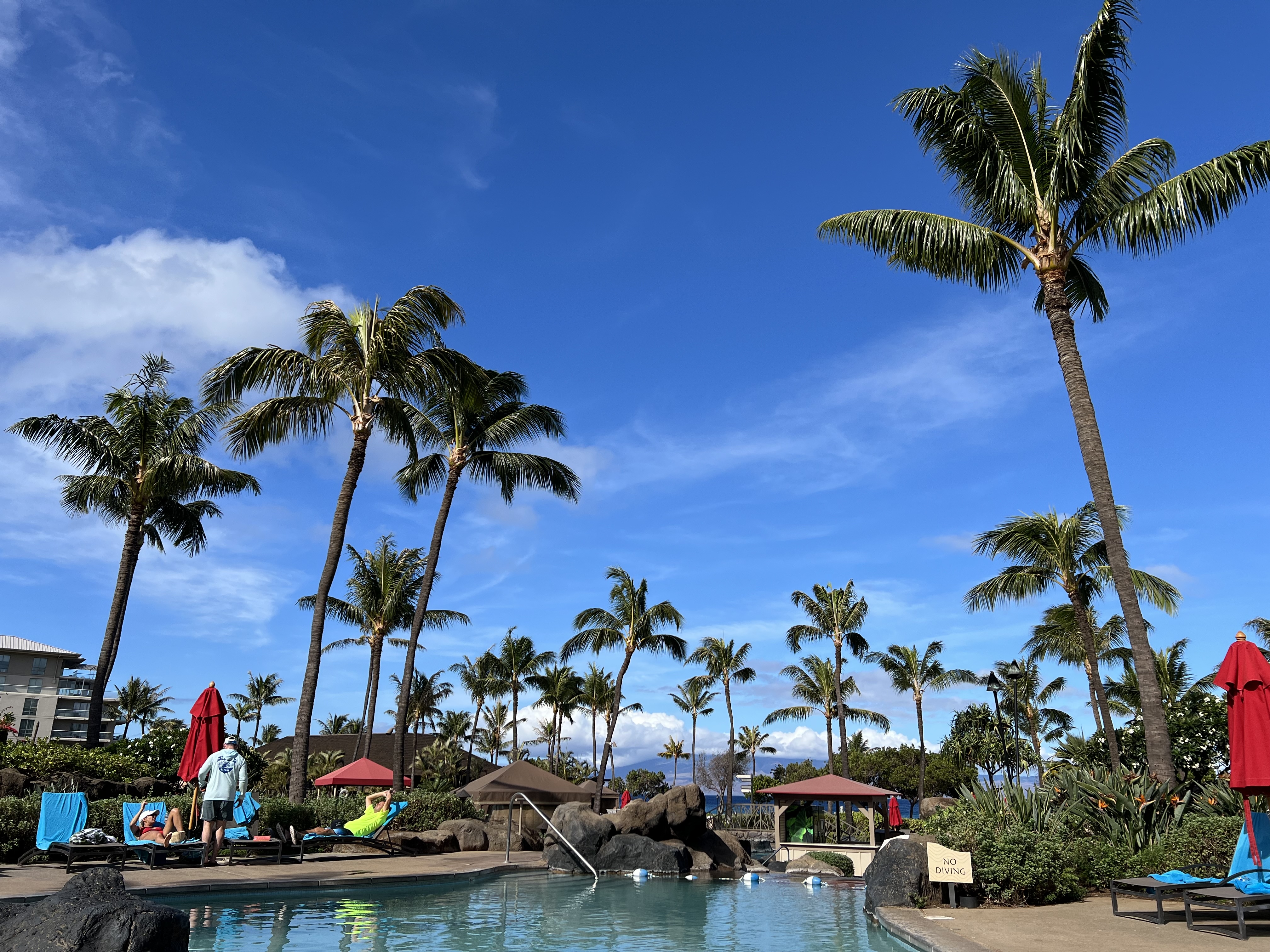 poolside view, with a bright blue sky and palm trees